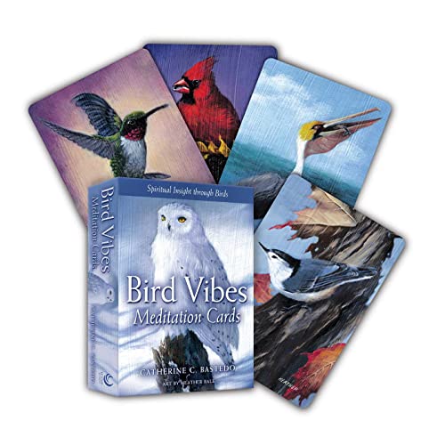 Bird Vibes Meditation Cards : Spiritual Insight Through Birds