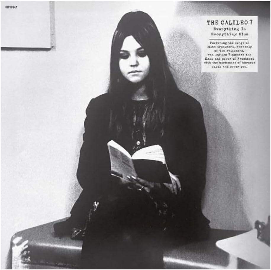 Various - Everything Is Everything Else [VINYL]