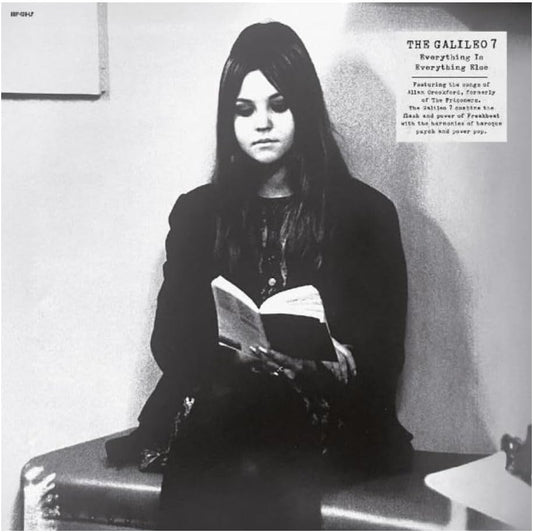 Various - Everything Is Everything Else [VINYL]