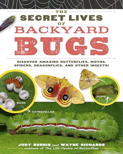 The Secret Lives of Backyard Bugs : Discover Amazing Butterflies, Moths, Spiders, Dragonflies, and Other Insects!