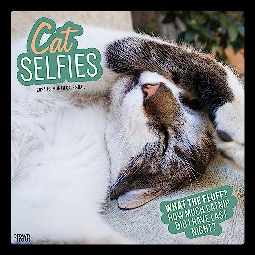 Cat Selfies | 2024 12 x 24 Inch Monthly Square Wall Calendar | BrownTrout | Pet Humor Kitten Feline