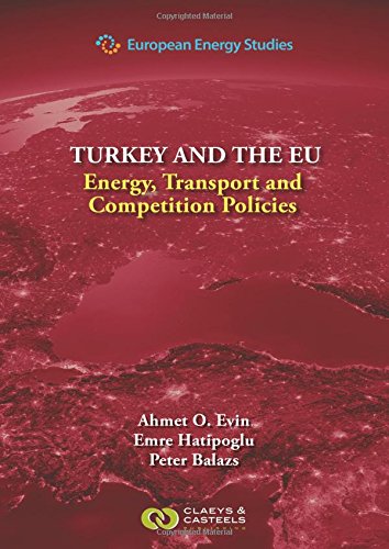 European Energy Studies