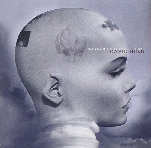 Hurn;david - Beautiful Trustfulfuture [CD]