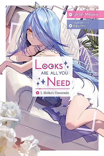 Looks Are All You Need Novel Sc Vol 01 (New Edition) (C: 0-1