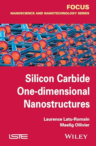 Silicon Carbide One-Dimensional Nanostructures