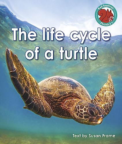 The life cycle of a turtle (Red Squirrel Phonics Level 7 Set 2b)