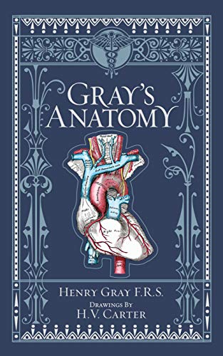 Gray's Anatomy (Barnes & Noble Collectible Classics: Omnibus Edition) (Barnes & Noble Leatherbound Classic Collection)