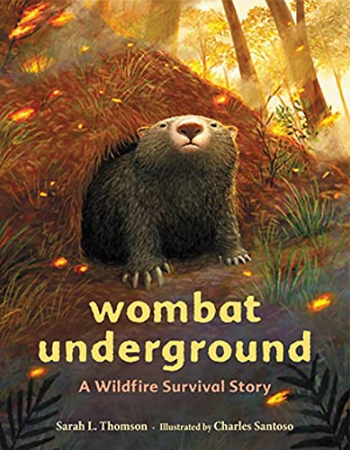 Wombat Underground : A Wildfire Survival Story