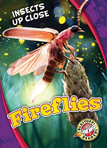 Fireflies (Insects Up Close)