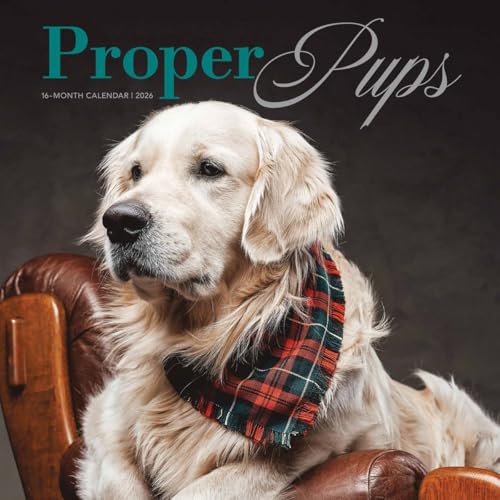 Proper Pups Square Wall Proper Pupssunda