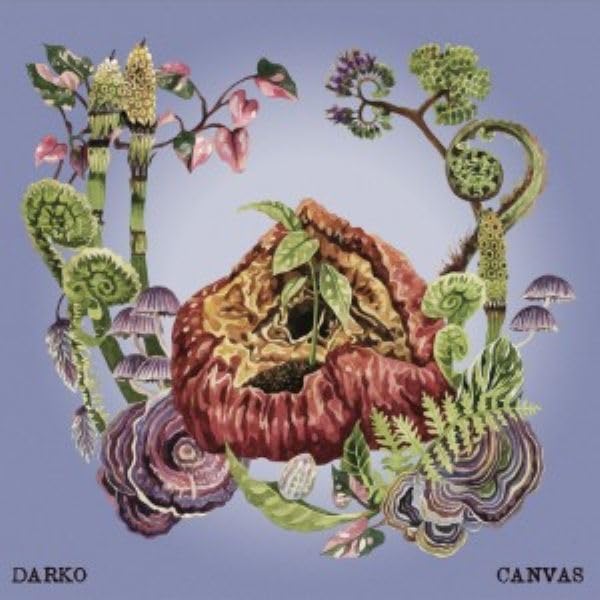 Darko - Canvas (pink And Purple Vinyl) [VINYL]