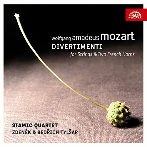 Stamic Quartet - Mozart- Divertimenti String [CD]