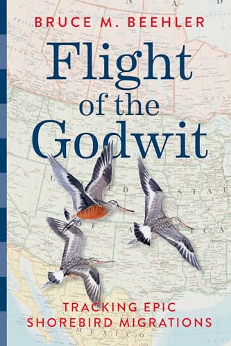 Flight of the Godwit : Tracking Epic Shorebird Migrations
