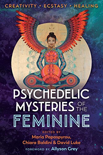 Book cover featuring a woman with wings and colorful, ornate designs.