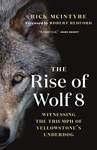 The Rise of Wolf 8: Witnessing the Triumph of Yellowstone's Underdog: 1 (The Alpha Wolves of Yellowstone (1))