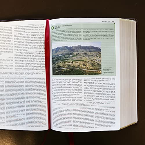 NKJV Study Bible, Leathersoft, Brown, Full-Color, Thumb Indexed, Comfort Print : The Complete Resource for Studying God’s Word