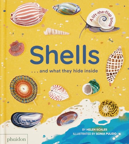 Shells... and what they hide inside : A Lift-the-Flap Adventure