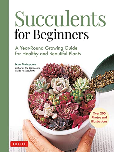 SUCCULENTS FOR BEGINNERS