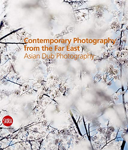 Contemporary Photography from the Far East:Asian Dub Photography