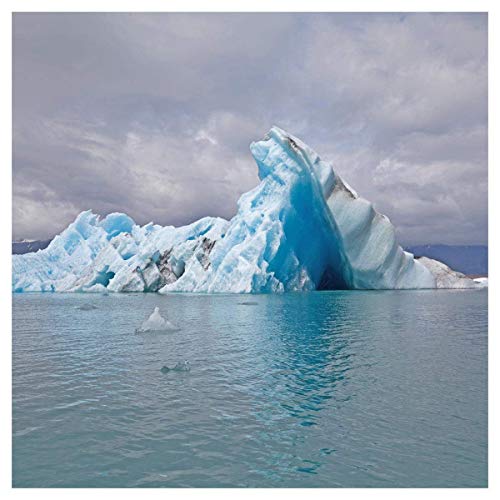 Surfer Blood - Snowdonia  [VINYL]
