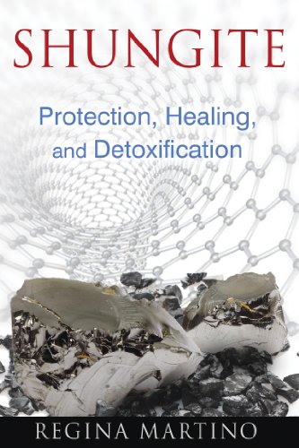 Book cover featuring dark, textured shungite stone and a molecular graphic.