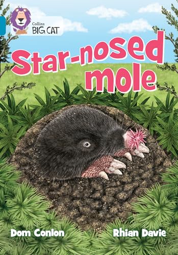 Star-nosed Mole : Band 13/Topaz