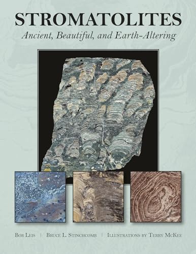Stromatolites