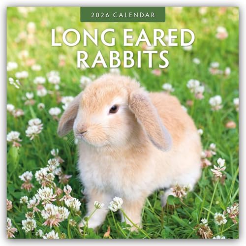 Long Eared Rabbits 2026 Square Wall Calendar