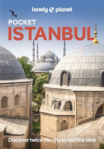 Image of Istanbul mosques with domes and minarets under a clear blue sky.
