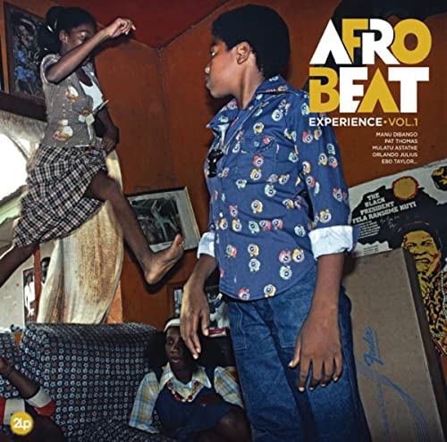 Various Artists - AFROBEAT EXPERIENCE VOL. 1 [VINYL]