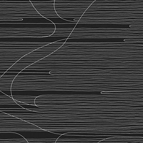 Oneida - Absolute II [VINYL]