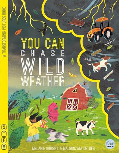 YOU CAN Chase Wild Weather