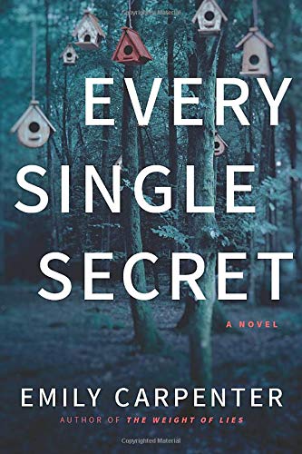 Every Single Secret: A Novel