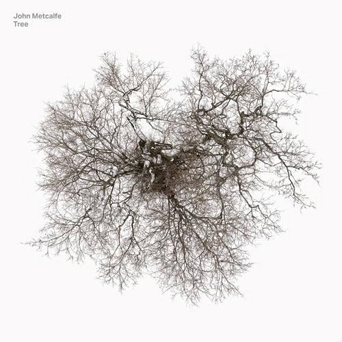 John Metcalfe - Tree [VINYL]