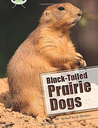 Black-Tailed Prairie Dogs: NF White B/2a (Bug Club)