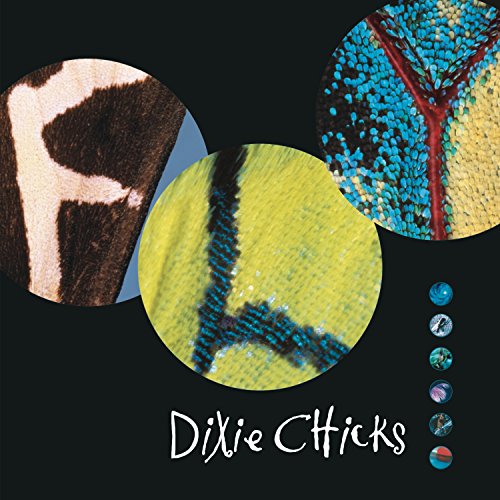 Album cover for Dixie Chicks’ “Fly” featuring magnified insect wings.