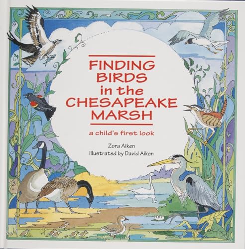 Finding Birds in the Chesapeake Marsh