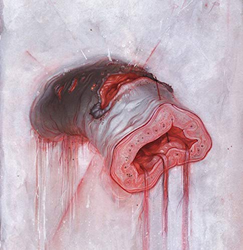 Various - Prolapse [CD]