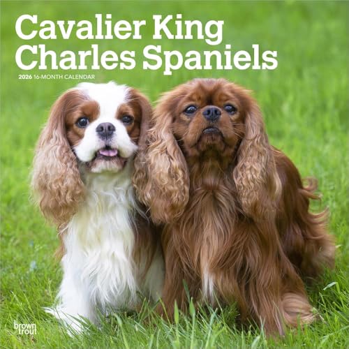Two Cavalier King Charles Spaniels on a grassy field, 2026 calendar.
