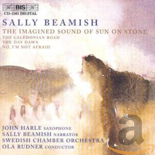 Soloistsswedish Co - Imagined Sound of Sun on Stone (Swedish Co/Rudner) [CD]