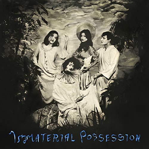Immaterial Possession - Immaterial Possession [VINYL]