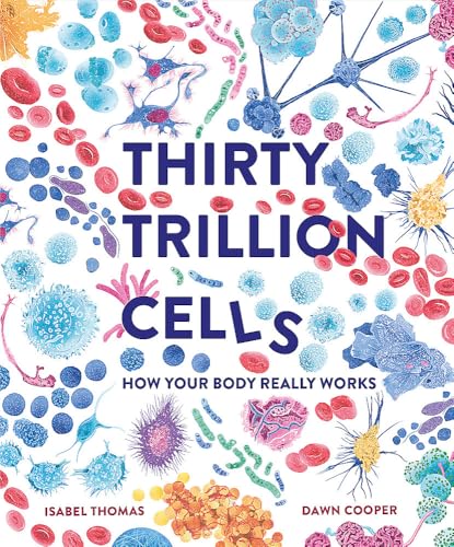 Thirty Trillion Cells : How Your Body Really Works