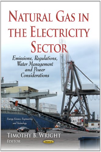 Natural Gas in the Electricity Sector
