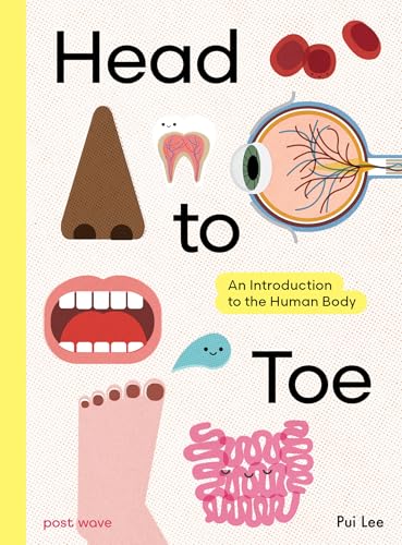 Head to Toe : An Introduction to the Human Body