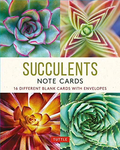 SUCCULENTS - 16 NOTE CARDS