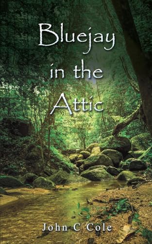 Bluejay in the Attic