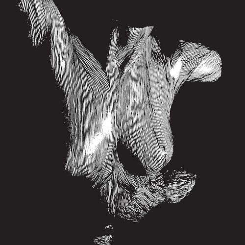 OCEANSIZE - SELF PRESERVED WHILE THE BODIE [VINYL]
