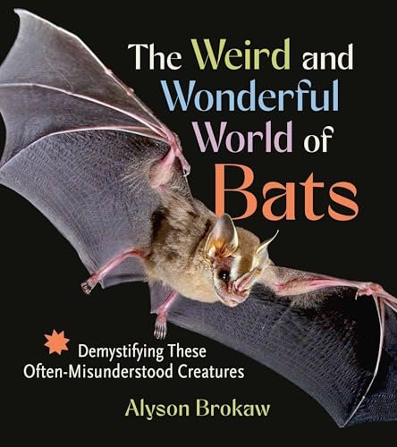 The Weird and Wonderful World of Bats : Demystifying These Often-Misunderstood Creatures