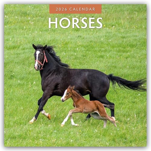 Horses 2026 Square Wall Calendar