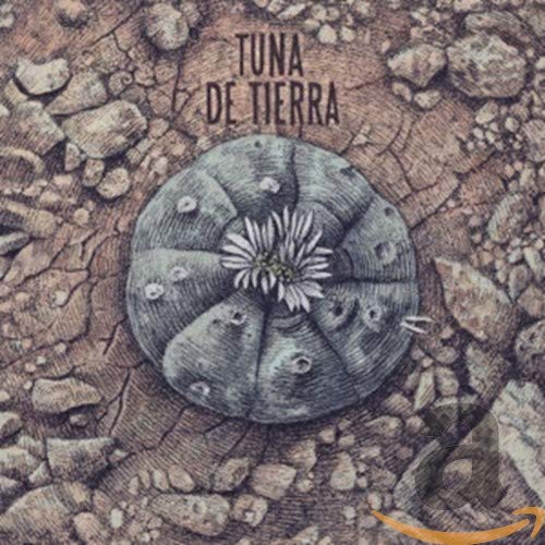 CD cover featuring a sketch of a flowering cactus on rocky ground.